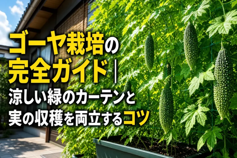 ネット一面に茂り、緑の実をつけたゴーヤのカーテン。