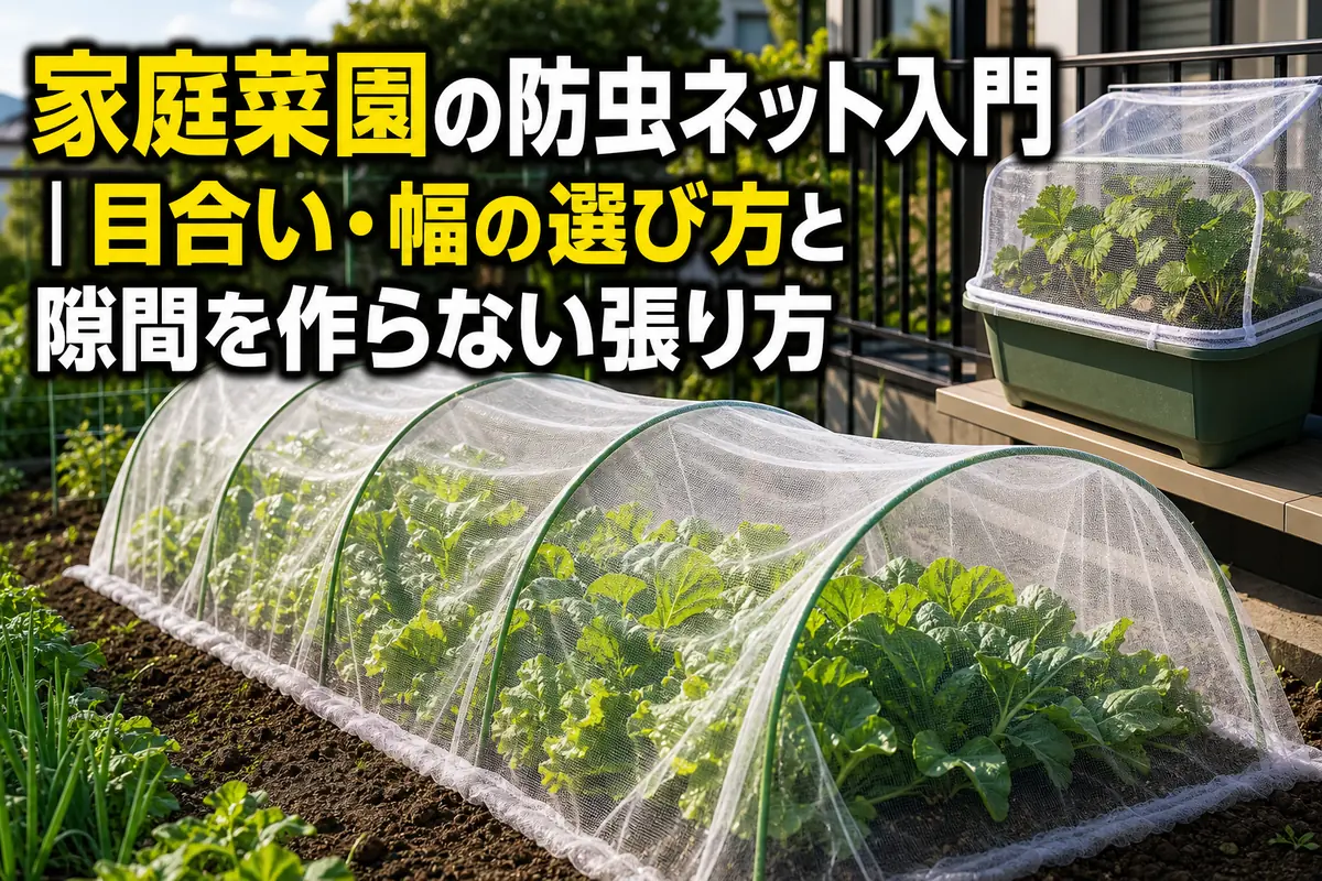 葉物野菜を覆う防虫ネットのトンネルとプランター菜園。