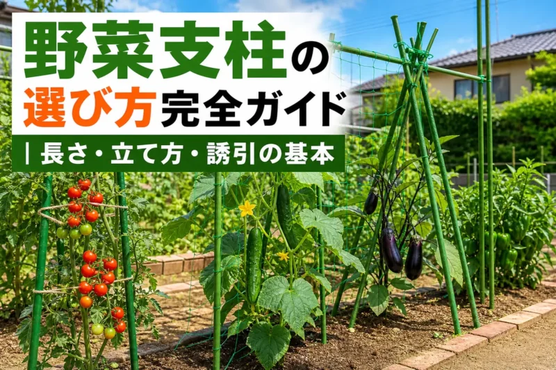 支柱と園芸ネットで整然と支えられた家庭菜園の夏野菜。