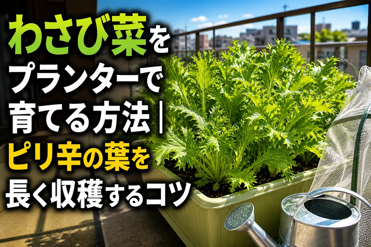 プランターで青々と育つ、切れ込みの深いわさび菜の葉。