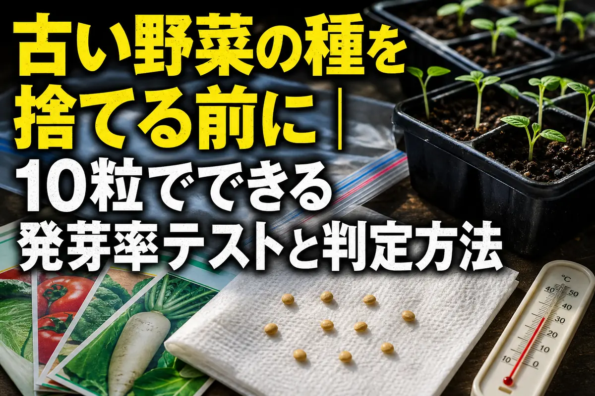 湿らせたペーパーに野菜の種を並べて発芽率を確認している様子。