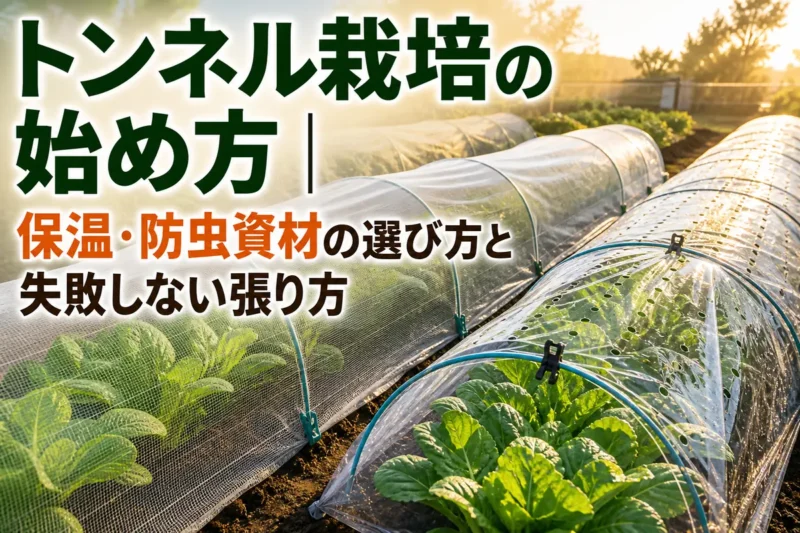 葉物野菜の畝に防虫ネットと透明フィルムのトンネルを設置した家庭菜園。