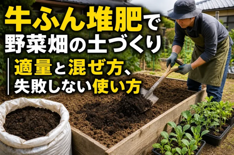 家庭菜園の畝に完熟牛ふん堆肥を混ぜ込んで土づくりをする様子。